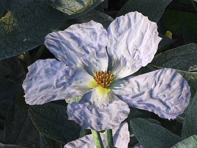 White And Purple Ruffled Flower With Yellow Center And Green Leaves 3d model