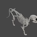 Cartoon Style 3D Skeleton Dog Game Movie Character With Black Eyes