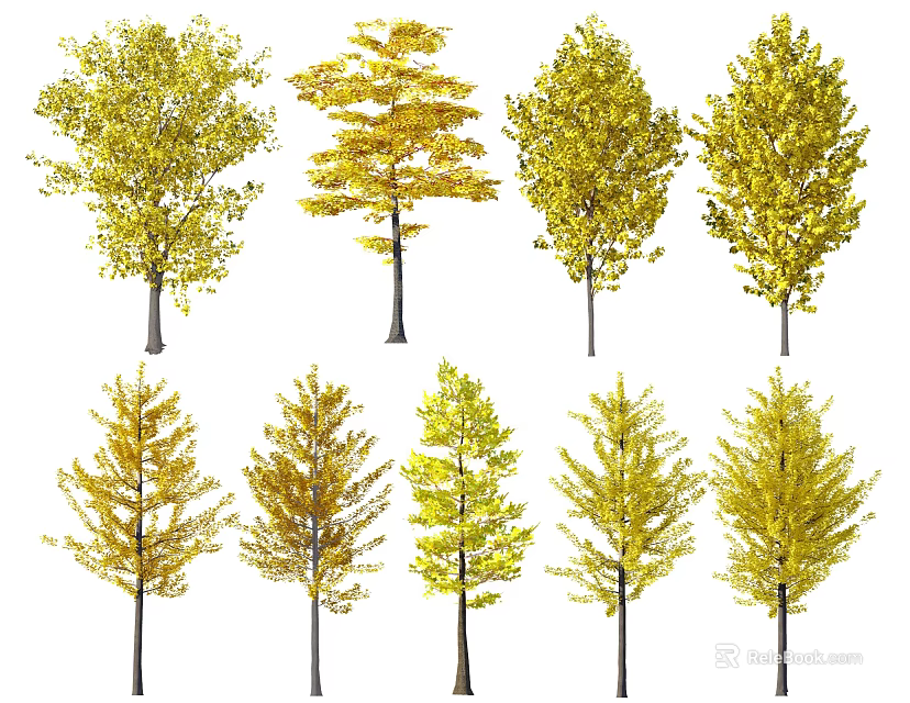 Deciduous Trees With Various Forms And Yellow Green Seasonal Foliage 3d model 