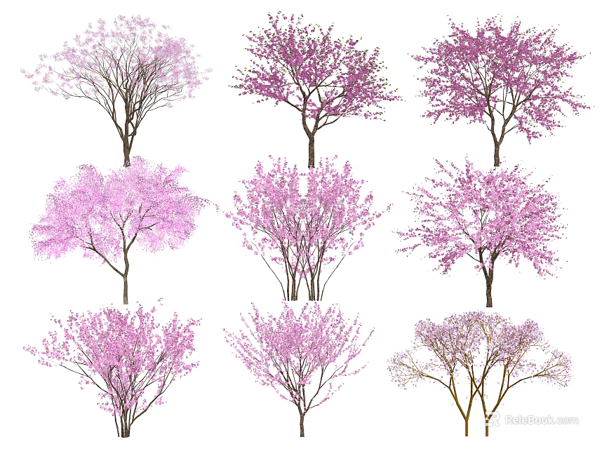 Flowering Trees with Pink and Purple Blossoms in Various Shapes 3d model 
