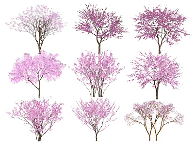 Flowering Trees with Pink and Purple Blossoms in Various Shapes 3d model