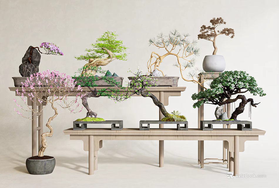 Artistic Bonsai Plants with Flowering and Evergreen Species on Wooden Shelves 3d model 