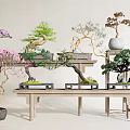 Artistic Bonsai Plants with Flowering and Evergreen Species on Wooden Shelves