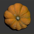 Fresh Bright Orange Round Pumpkin with Smooth Texture for Healthy Autumn Recipes