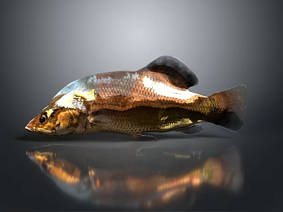 Golden Shiny Metal Fish Decorative Piece With Reflective Surface For Household Decoration 3d model