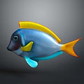 Vibrant Blue Tropical Fish With Yellow Dorsal Fin Blue Pectoral Fin And Yellow Tail