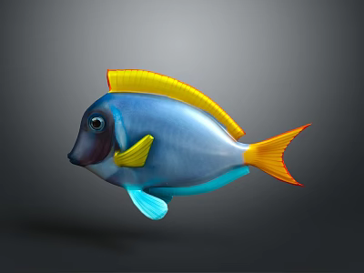 Vibrant Blue Tropical Fish With Yellow Dorsal Fin Blue Pectoral Fin And Yellow Tail 3d model