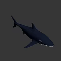 3D Metallic Shark Model With Sleek Surface And Modern Design Features