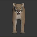 Realistic Light Brown Puma Standing On Dark Background With Surface Reflection 3d model