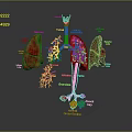 Medical Device 3D Anatomical Respiratory System Model with Labeled Parts Showing Lungs Trachea Bronchi Alveoli