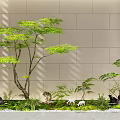 Indoor Landscape with Lush Green Plants Tree Ferns and Stones Against Light Wall