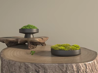 Bonsai Potted Plants With Green Moss On Wooden Tree Stump Display Stand 3d model