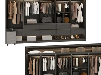 Modern Wardrobe Interior Organization With Multiple Hanging Rods Drawers Storage Boxes Bags And Shoes 3d model