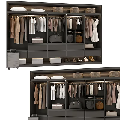 Modern Wardrobe Interior Organization With Multiple Hanging Rods Drawers Storage Boxes Bags And Shoes 3d model