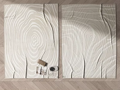 Light Colored Square Rugs With Wood Grain Pattern On Wooden Floor And Decorative Items 3d model