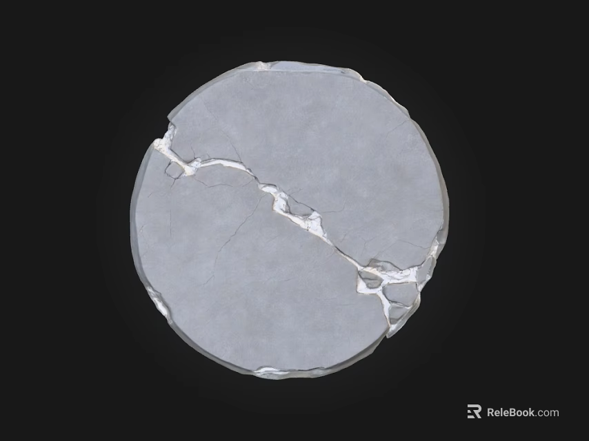 Circular Gray Stone Wood Piece With Natural Cracked Surface And Wood Grain Texture 3d model 
