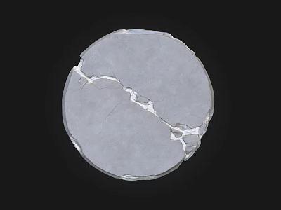 Circular Gray Stone Wood Piece With Natural Cracked Surface And Wood Grain Texture 3d model