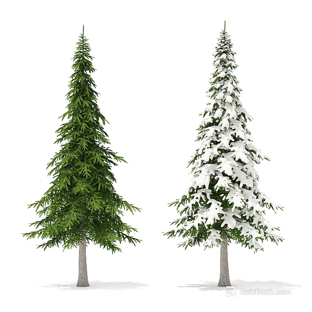 Two Tall Trees One with Green Foliage and One Snow Covered in Winter 3d model 