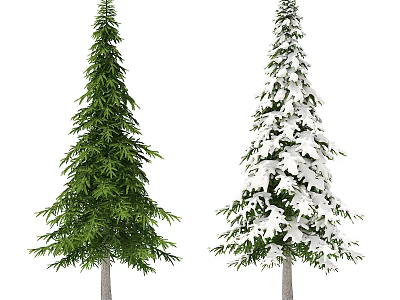 Two Tall Trees One with Green Foliage and One Snow Covered in Winter 3d model