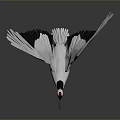 White Crane With Red Crown Spreading Wings And Black Wing Edges On Gray Background 3d model