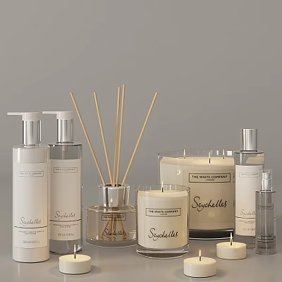 Stylish Bathroom Accessories With Reed Diffusers Candles Soap Dispensers And Bottles 3d model