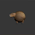 Adorable Capybara In Brown Furry Sphere Enclosure With Head Peeking Out
