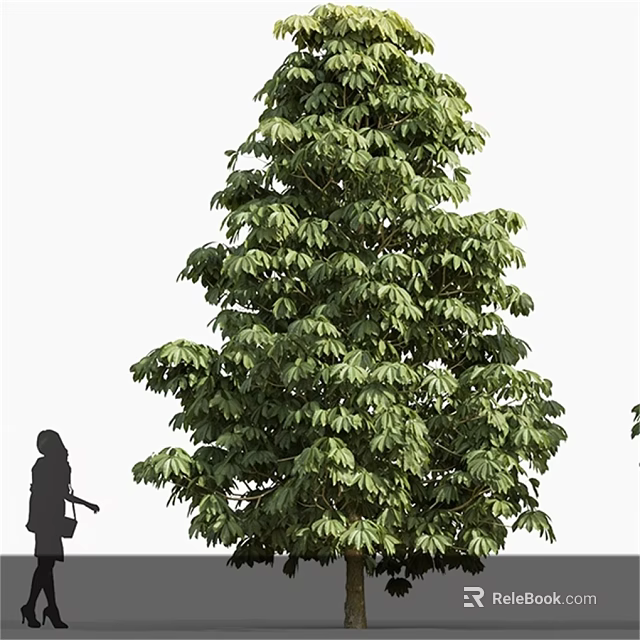 Tall Arbor Tree With Lush Green Foliage And Person Silhouette For Height Reference 3d model 
