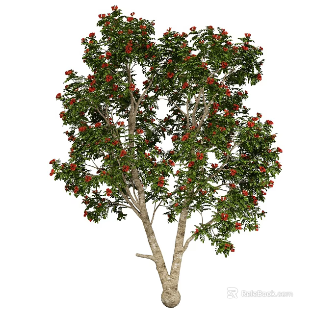 Healthy Lush Arbor With Dual Trunks Green Leaves And Red Fruits 3d model 