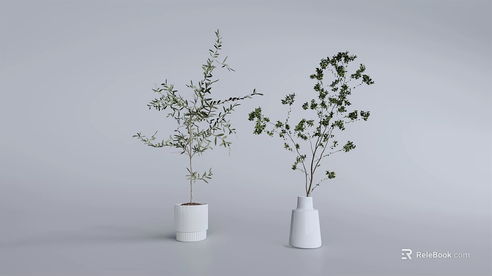 Decorative Bonsai Potted Plants in White Ceramic Pots with Green Foliage on Gray Background 3d model 