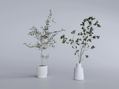 Decorative Bonsai Potted Plants in White Ceramic Pots with Green Foliage on Gray Background 3d model