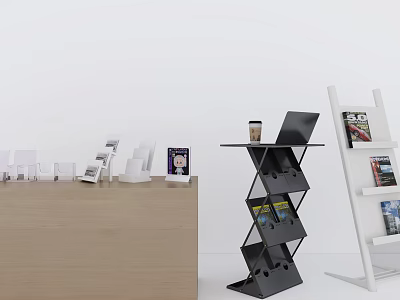 Modern Stylish Display Shelves With Magazine Storage And Black White Design 3d model