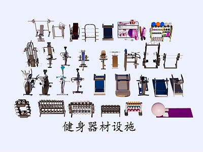 Fitness Equipment Collection with Various Gym Machines and Training Gear 3d model