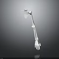 Detailed Human Skeleton Arm 3D Model With Anatomical Structure And Realistic Bone Details 3d model