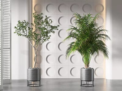 Potted Green Tree and Palm Plants in Gray Planters with Metal Stands and Circular Wall 3d model