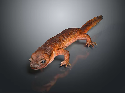 Reptile With Brown Orange Hue Long Tail And Smooth Skin On Gray Background 3d model
