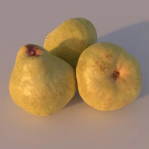 Pear fruit 3d model