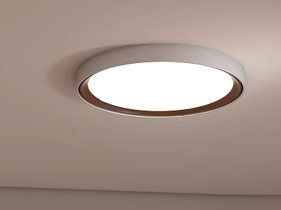 Modern Round Ceiling Light With White Shade And LED Lighting For Living Room Interior 3d model