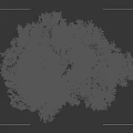 Tall Arbor Tree with Thick Trunk Lush Green Leaves and Human Silhouette
