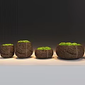 Bonsai Potted Plants In Five Different Sizes With Brown Textured Pots And Green Foliage