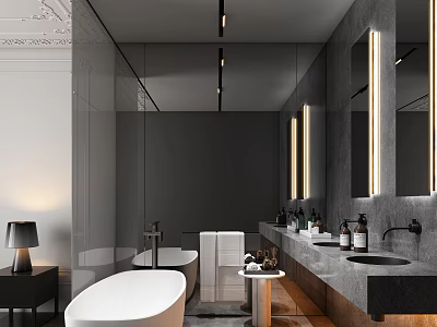 Modern Luxury Gray Bathroom Interior With White Bathtub Black Vanity And Illuminated Mirrors 3d model