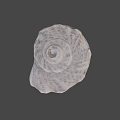 Fantasy Adventure Game Character With Detailed Conch Shell Prop Design