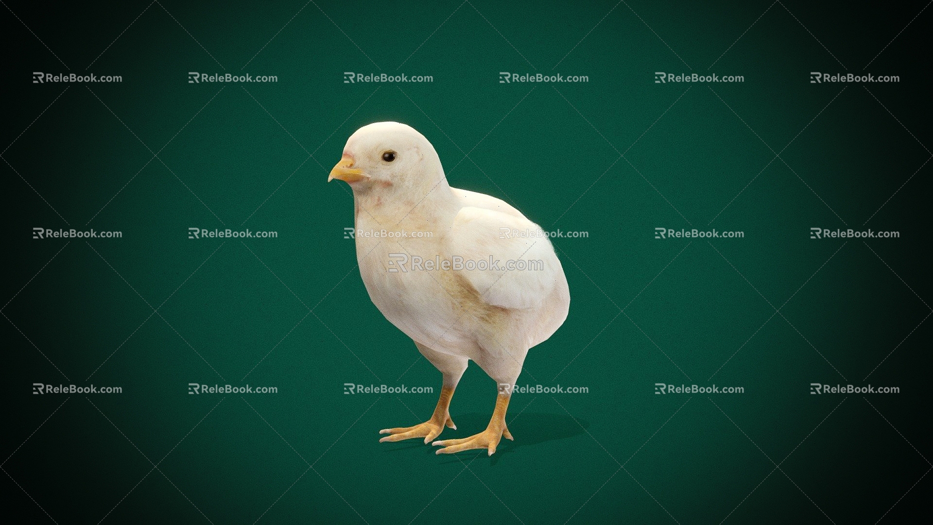 Modern Chick 3d model