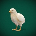 Modern Chick 3d model