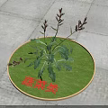 Organic Vegetable Plant With Fresh Green Leaves And Red Stems Displayed On Green Mat