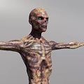 Decayed Zombie Creature Character With Tattered Pants And Outstretched Arms 3d model