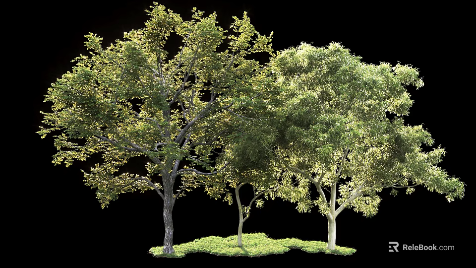 Healthy Green Trees With Lush Foliage And Vibrant Grass On Black Background 3d model 