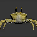 Yellow Crab With Black Eyes And Claws On Black Reflective Background