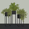 Stylish Potted Plants on Black Metal Stands Against Light Background and Gray Floor