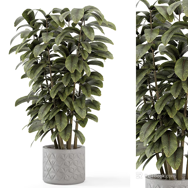 Bonsai Potted Plant with Lush Green Leaves in Geometric Patterned Gray Pot for Indoor Decoration 3d model 