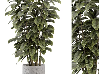 Bonsai Potted Plant with Lush Green Leaves in Geometric Patterned Gray Pot for Indoor Decoration 3d model